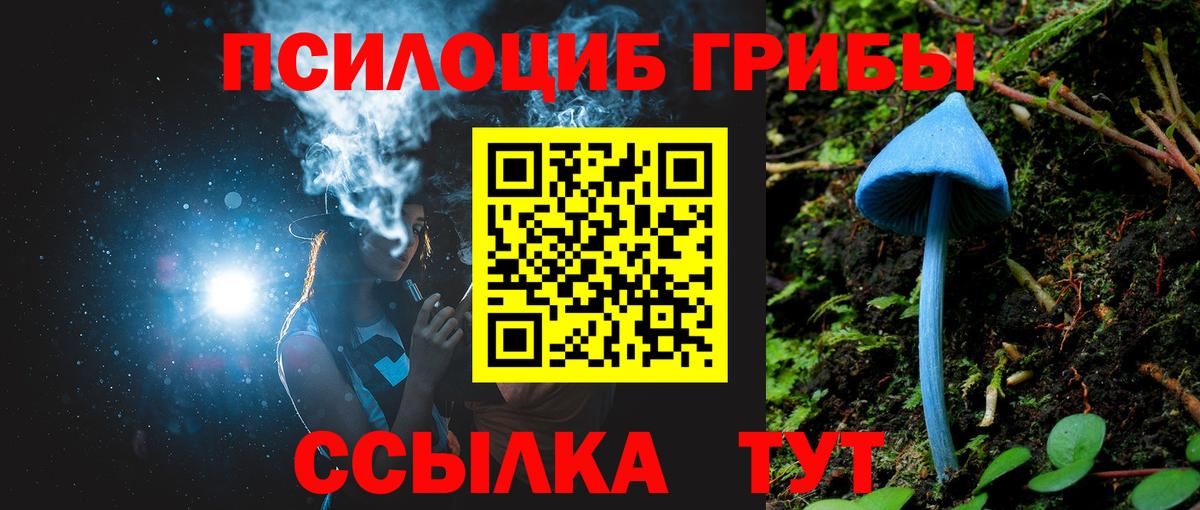 Псилоцибиновые грибы MAGIC MUSHROOMS Сосновый Бор