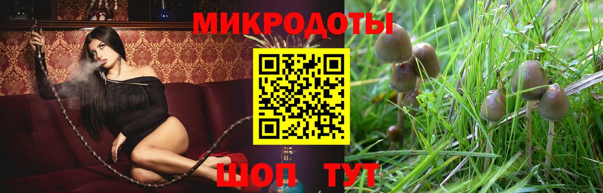 Псилоцибиновые грибы мицелий  Псилоцибиновые грибы ЛСД  Вход с VPN  Сосновый Бор 